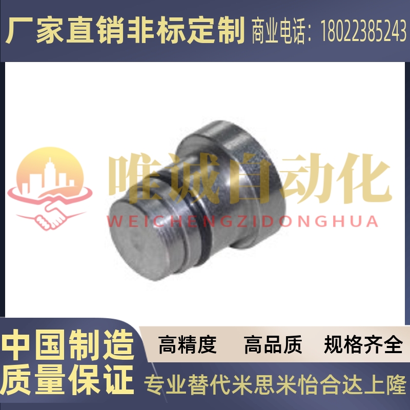 导轨用定位销 偏心销LLT3.5 LLT5 LLTS5 ICE11-T5不锈钢现货促销
