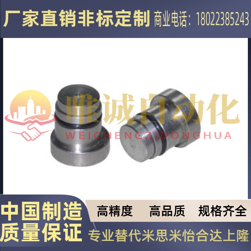 直线导轨用定位销LLT3.5 LLT5 LLTS5偏心销ICE11-T5不锈钢LLTA5