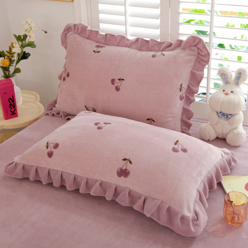 双面加厚牛奶绒枕套2只珊瑚冬季