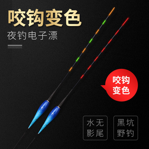 浮漂重力感应夜光漂鱼漂