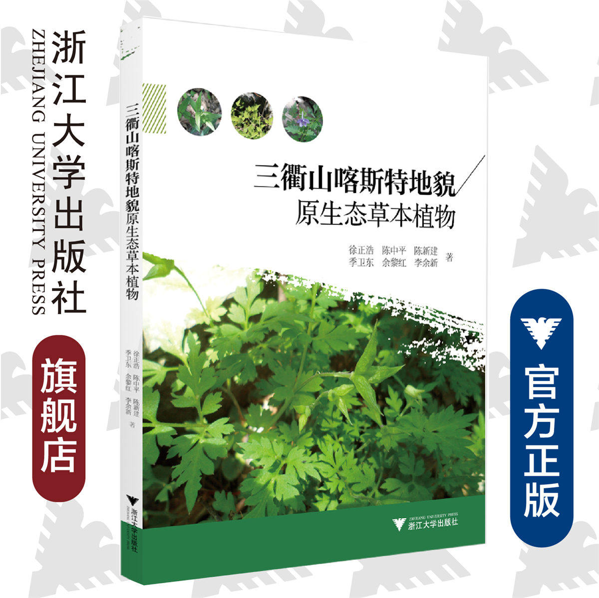 三衢山喀斯特地貌原生态草本植物/徐正浩/陈中平/陈新建/季卫东/余黎