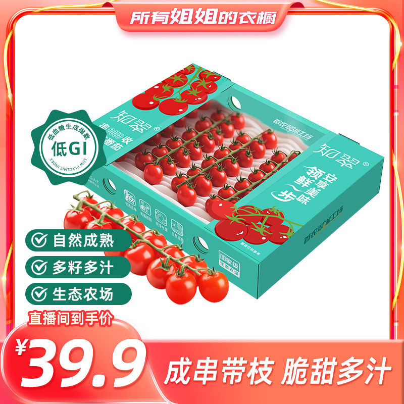 知翠生吃自然熟串收樱桃小番茄