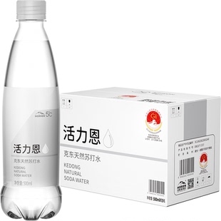 HORIEN/活力恩 克东天然苏打水500ML*15瓶