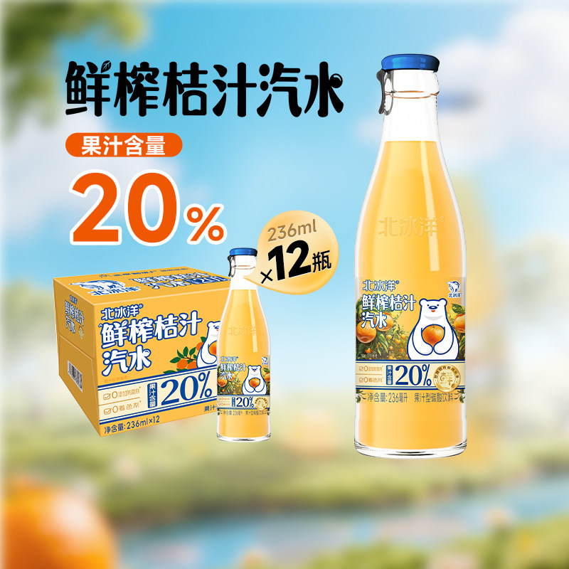 北冰洋鲜榨桔汁汽水236ml*12瓶图片