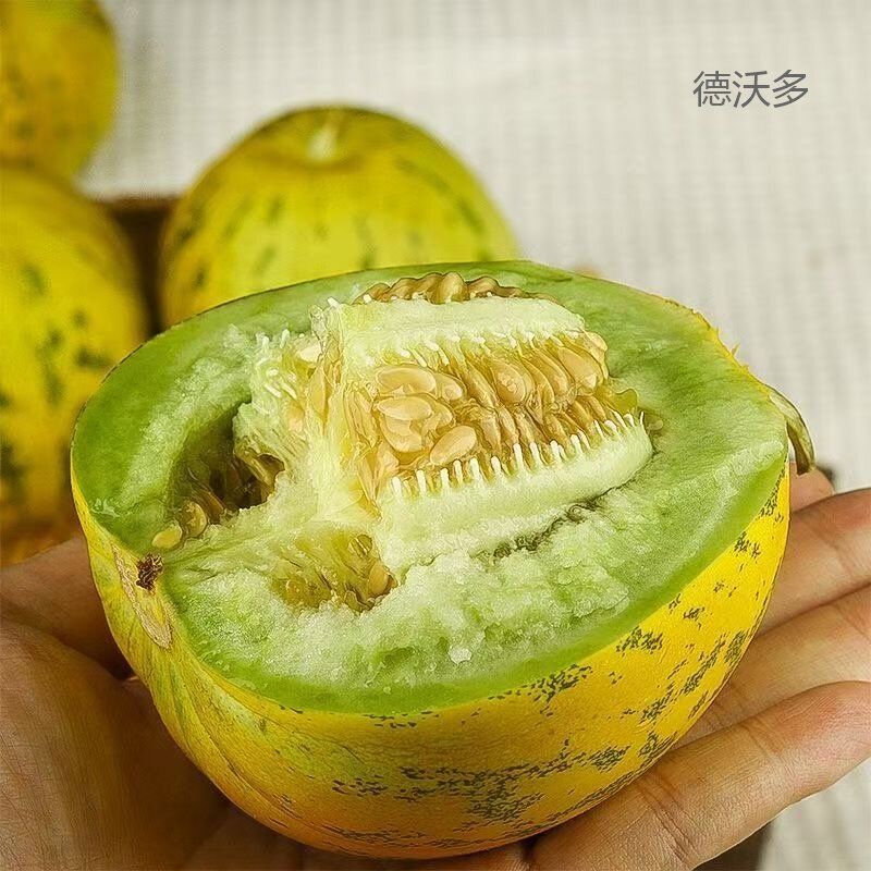 东北八里香花蕾甜瓜新鲜现摘花皮瓜花姑娘应季香甜孕妇水果甜瓜