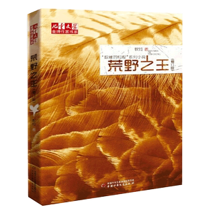 金牌作家书系·牧铃“艰难的归程”系列——  荒野之王（修订版）