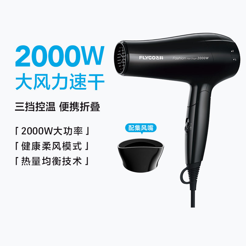 飞科电吹风机家用大功率发廊宿舍不伤发电吹风FH6231