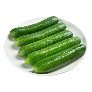无公害黄瓜(小黄瓜)400g/包