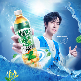 康师傅双倍薄荷劲凉冰红茶500ml*15瓶 夏日限定 清爽提升解渴饮品