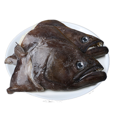 缤鲜深海格陵兰超大鱼头1.5kg