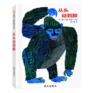 从头动到脚 信谊宝宝起步走 0-3-6周岁幼儿早教启蒙绘本 正版书籍