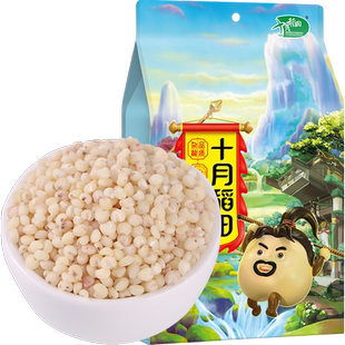 【次日达】十月稻田高粱米五谷杂粮粗粮东北粘白高粱米粘糯真空装