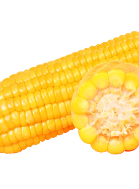 天勤粒粒净有机香糯玉米小食量
