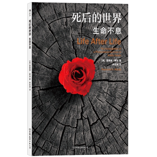 死后的世界生命不息150名死而复生之人的经验讲述濒死体验心理学