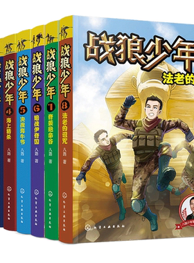 战狼少年全套8册八路的书