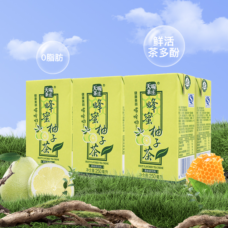 TenWow/天喔茶庄蜂蜜柚子茶果味茶饮料量贩礼盒茶饮料
