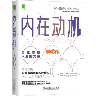 内在动机 自主掌控人生的力量 爱德华动机激励励志成功书