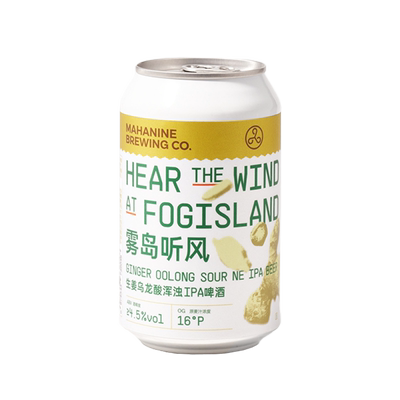 大九酿造精酿雾岛听风啤酒