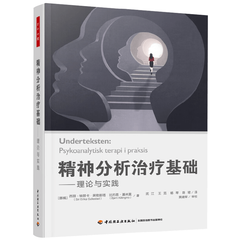 万千心理 精神分析治疗基础 西丽·埃丽卡古勒斯塔德等著 心理学