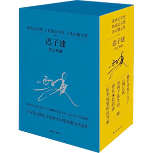 迟子建散文典藏(全5册)我的世界下雪了原来姹紫嫣红开遍云烟过客