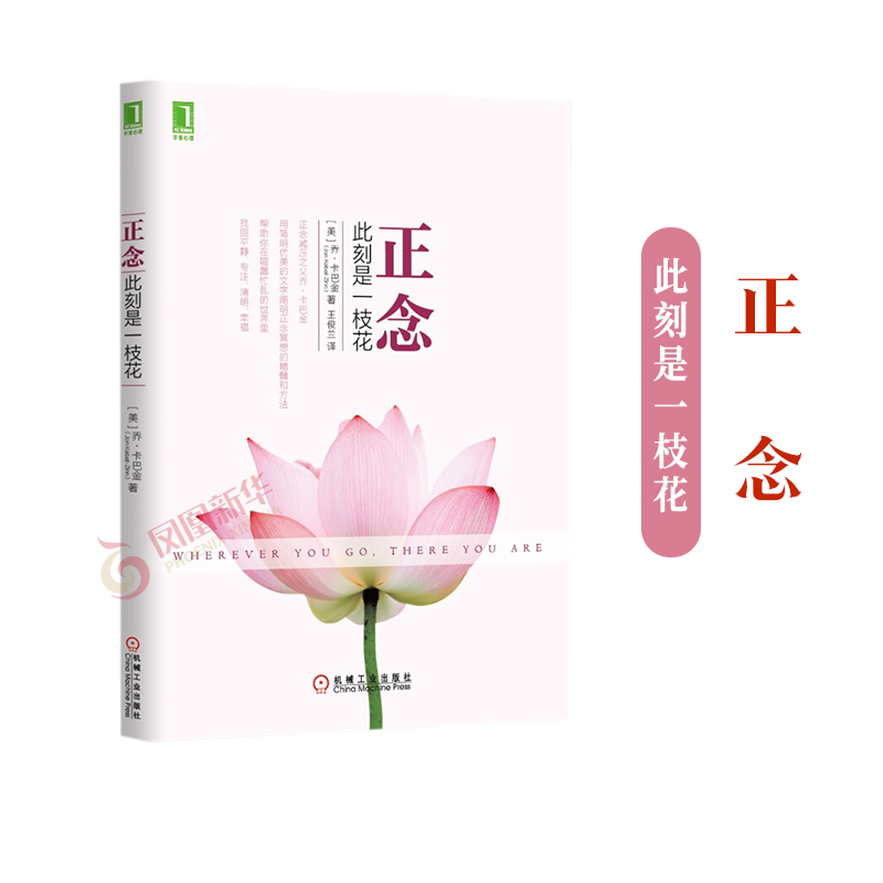 正念此刻是一枝花减压乔卡巴金