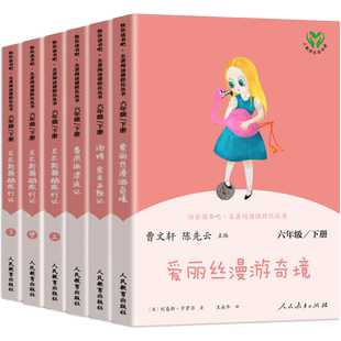 人教版快乐读书吧六年级下册必读  鲁滨逊漂流记尼尔斯骑鹅旅行记