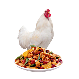 顺丰上门大用白羽鸡正宗谷饲走地新鲜中装鸡肉整鸡750g
