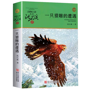 一只猎雕的遭遇 沈石溪动物小说品藏书系升级版小学生必读课外书