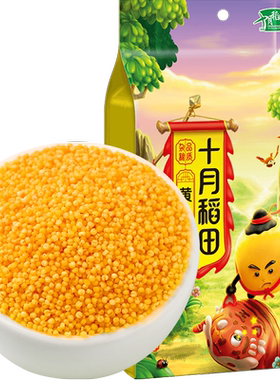 十月稻田东北一级黄小米易煮香糯