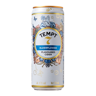 tempt诱惑7号接骨木味微醺果啤酒多口味聚会