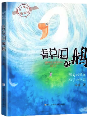 不一样的童话青草国的鹅正版