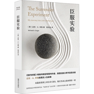 臣服实验 迈克A辛格著 不羁的灵魂作者 从隐居者到上市公司CEO