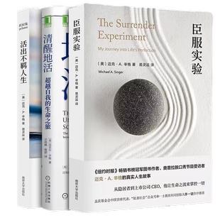 活出不羁人生+清醒地活+臣服实验 全3册 迈克A辛格 成功励志书籍