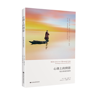 心湖上的倒影:给实修者的指导 厘清生活禅修困惑 分享修行体验