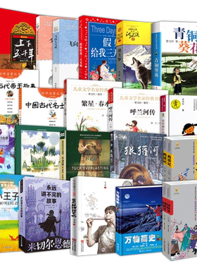 青铜葵花狼王梦小王子西游记