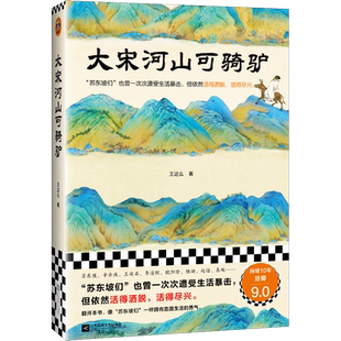 大宋河山可骑驴王这么著 宋代历史人物传记中国通史书籍新华书店
