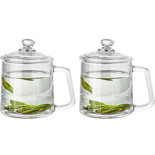 青苹果带盖带把茶饮杯泡茶杯350ml*1只玻璃水杯家用商务会议接待