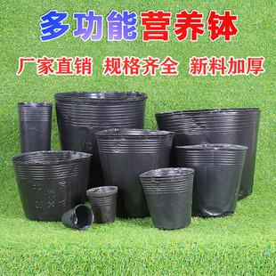 加厚营养钵育苗杯黑色果树育苗袋大号塑料一次性种植袋花盆花盆容