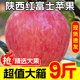 9斤 脆甜丑平果应季 超高复购 陕西红富士苹果水果新鲜整箱当季