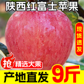 9斤糖心 脆甜丑平果应季 正宗 陕西红富士苹果水果新鲜整箱当季
