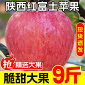 9斤 脆甜丑平果应季 产地速发 陕西红富士苹果水果新鲜整箱当季