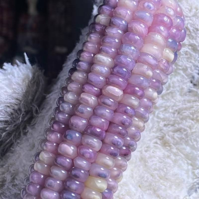 文玩玉米七彩玻璃宝石玉米成品毛料小墩墩手把件红宝石玉米盲盒,饰品/流行首饰/时尚饰品新,其他DIY饰品配件,淘宝优惠券,粉丝福利购,淘宝优惠卷