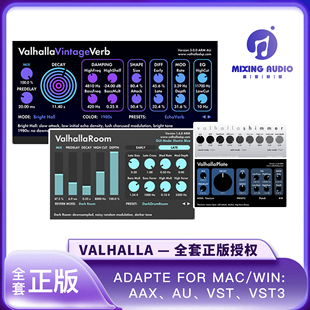 2025正版全套 valhalla  瓦哈拉 delay plate 混响 延迟效果器
