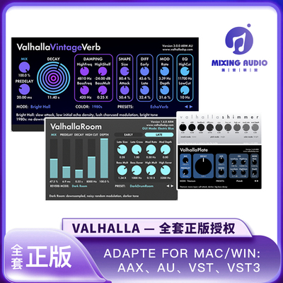 正版混音混响瓦哈拉全套效果器