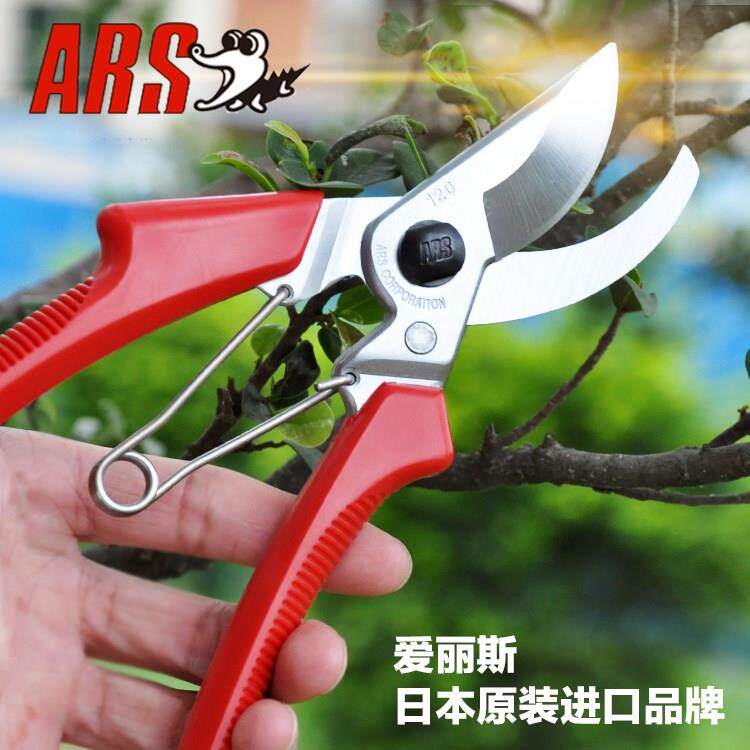 日本进口爱丽斯修枝剪刀园艺剪刀园林果树粗树枝剪花木整枝省力剪