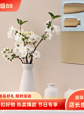 跨境挂件新款白色入户花瓶摆件套装欧式感客厅电视柜家居装饰品