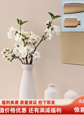 跨境挂件新款白色入户花瓶摆件套装欧式感客厅电视柜家居装饰品