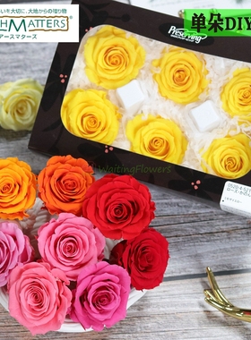 进口大地农园05212/01990/05204保鲜花5-6cm6朵装永生花玫瑰