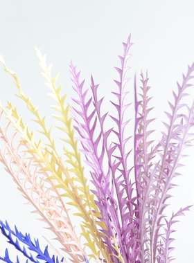 等花来锯齿叶闪电叶配材大地40130diy原材料玻璃罩礼物永生花材