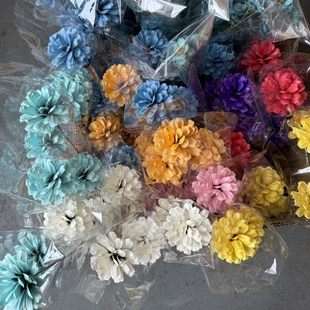 等花来手工海葵花莲花雏菊干花家居摆件拍摄道具永生花彩色瓜子花